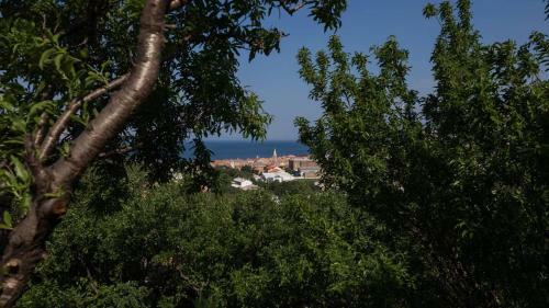 Apartmani Nena