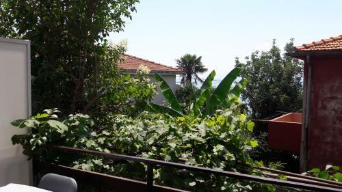 Apartamentos Ada