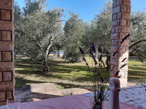 Apartamento Family House Rebeka