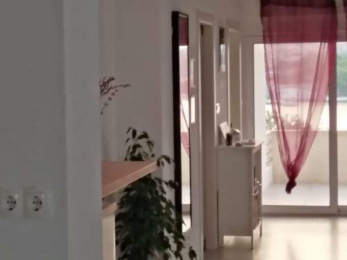 Apartmani Bruno