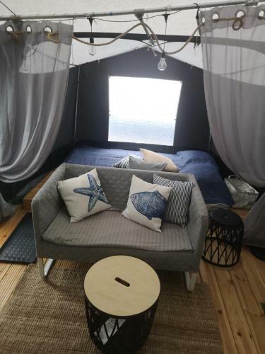 Przyczepa Bluecamp Na Molosurf W Jastarni