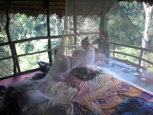Lovely Jungle Lodge & Treking