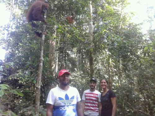 Lovely Jungle Lodge & Treking