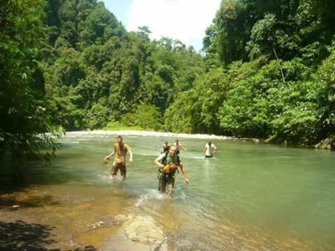 Lovely Jungle Lodge & Treking
