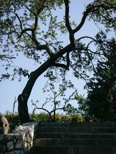 Bed & Breakfast Marin�da Vini?n� D?m