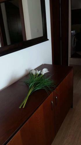 Apartamento Maira Luxury Studios