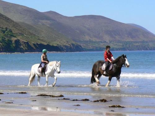 Glencurrah House B&B