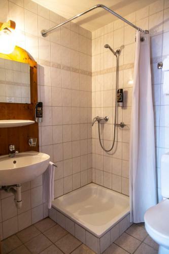 Hotel H�tel Le Relais Alpin
