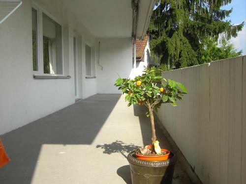 Hotel Restaurant Kl�sterli
