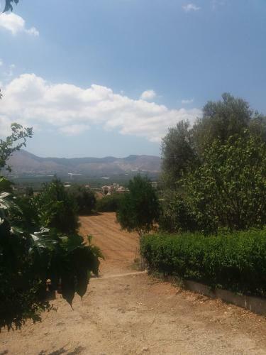 Apartamento Pasiphae