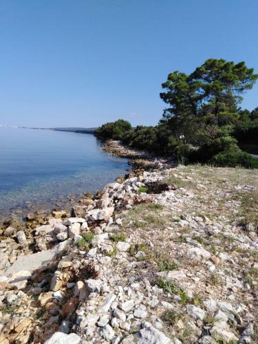 Apartmani Marka