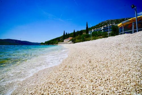 Apartamentos Villa Lion