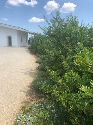 Hostal Villa Gianna