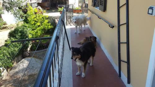 Bed & Breakfast B & B Farfa