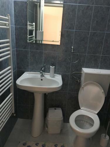 Hostal Casa Alb?