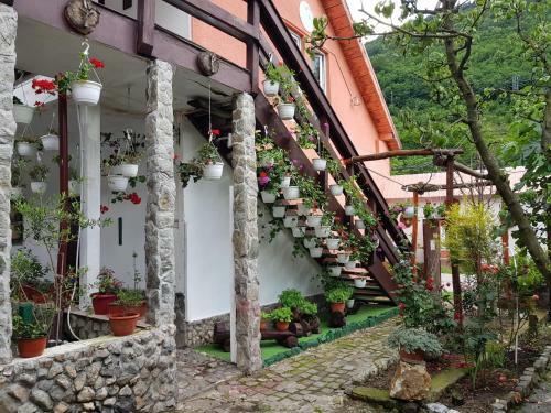 Hostal Pensiunea Casa Montana