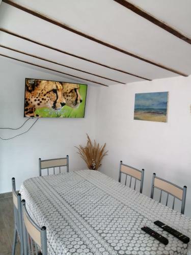 Hostal Casa Ancora Sulina