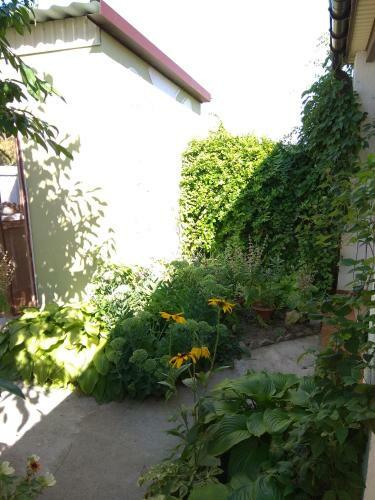 Hostal Oduvanchik