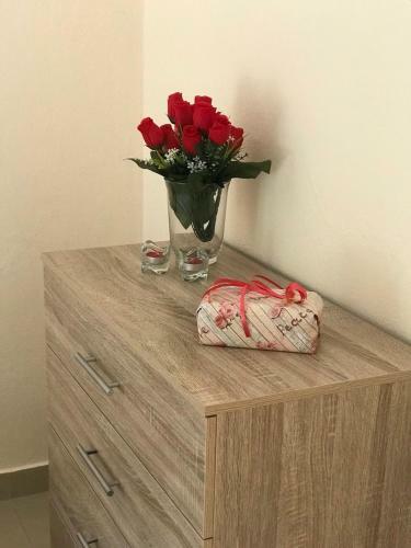 Tessi's Apartment