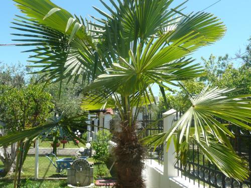 Apartamento Kallikratia Holiday Flat 1