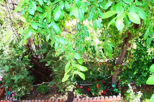 Apartamento Amalia House
