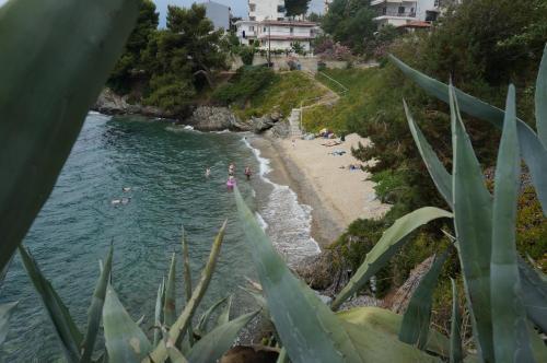 Apartamento Agallis