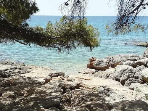 New Apartment With Private Path To Sea