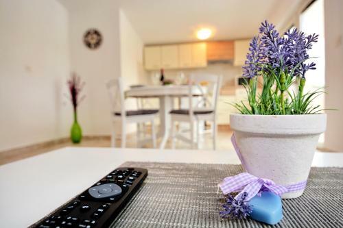 Apartamentos Villa Allegro