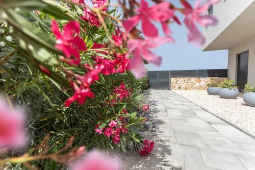 Apartamento Atena Zaton 2