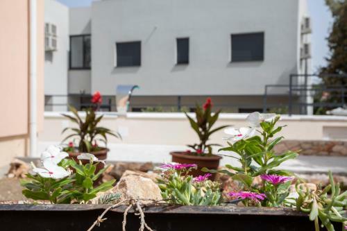 Apartamento Atena Zaton 2