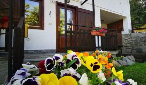 Apartamento La Casa Del Ciliegio