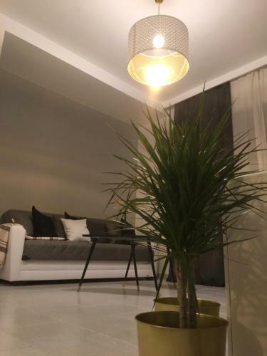 Apartamento Circle House Santa Filomena