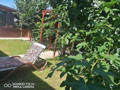 Casa Stefy Vama-veche