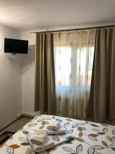 Hostal Casa Doi Stejari