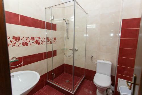 Hostal Pensiunea Apollo