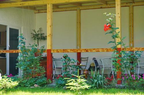 Hostal Casa Eden
