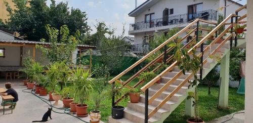 Vila Alexandra