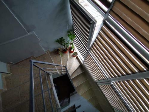 Hostal Casa Camy