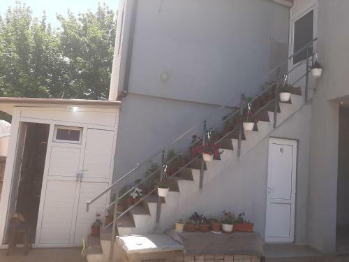 Hostal Casa Camy