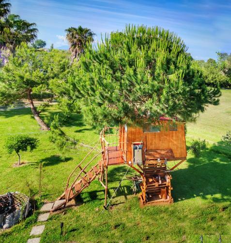Cuckoo's Nest Tree House