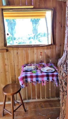 Cuckoo's Nest Tree House