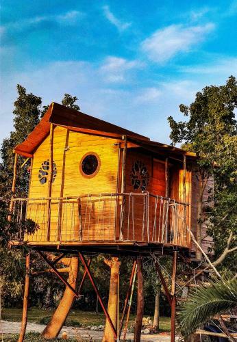 Dream Catcher Tree House