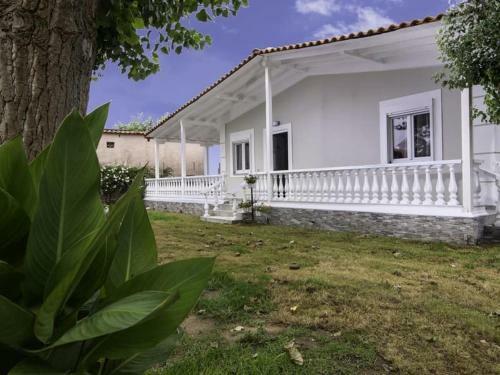 Studio Rafael