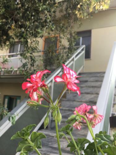 Maria's House