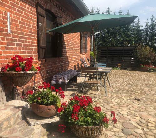 Hostal Siedlisko ?ywe Kamienie