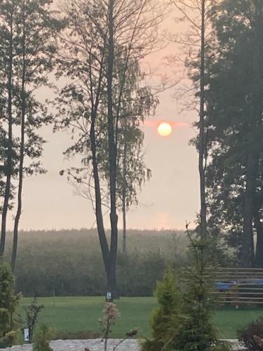 Apartamenty Ptasie Gniazdo Stare Sady