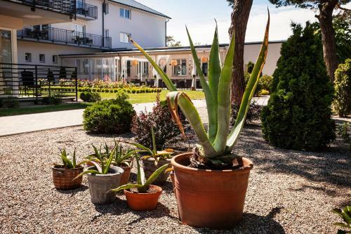 Hostal Dom Wczasowy Kliper
