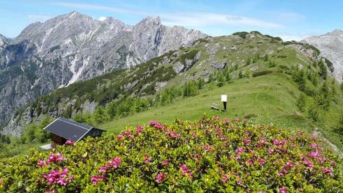 Posada Gasthof Wacht