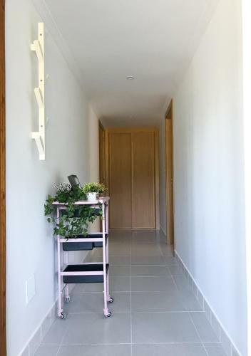 Nuevo Apartamento Fazouro