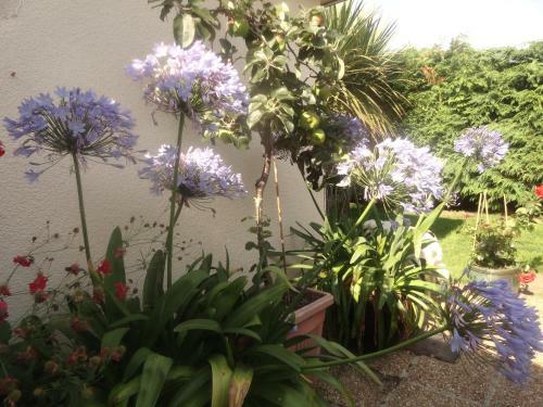 Orley House B&B